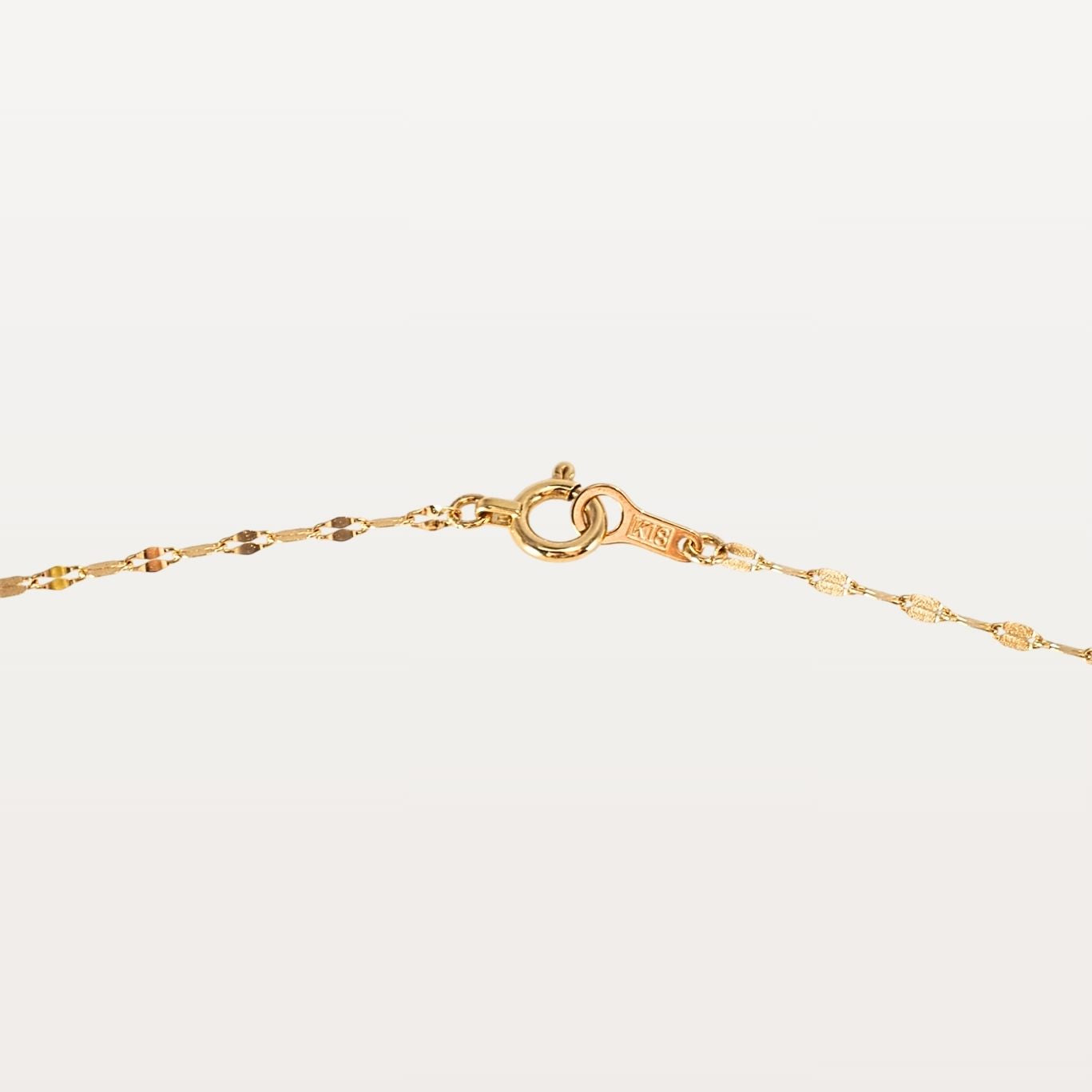 【即納】Amulet-pedal chain necklace